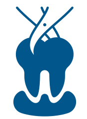 tooth extraction (2)
