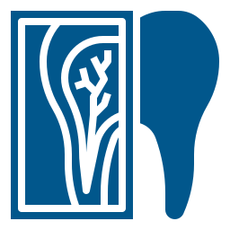 x ray